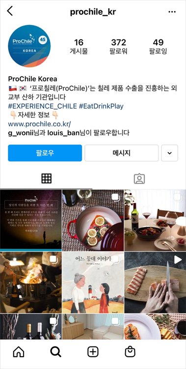 프로칠레 인스타그램